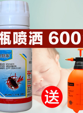 【饭店  酒店专用】拜创蟑螂药饭店用厨房一窝端强力大小通杀家用