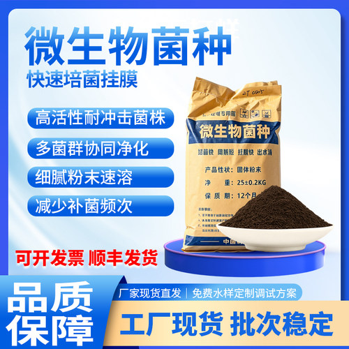 生化废水硝化菌种污水处理菌种降氨氮脱氮菌好氧菌总氮cod厌氧菌