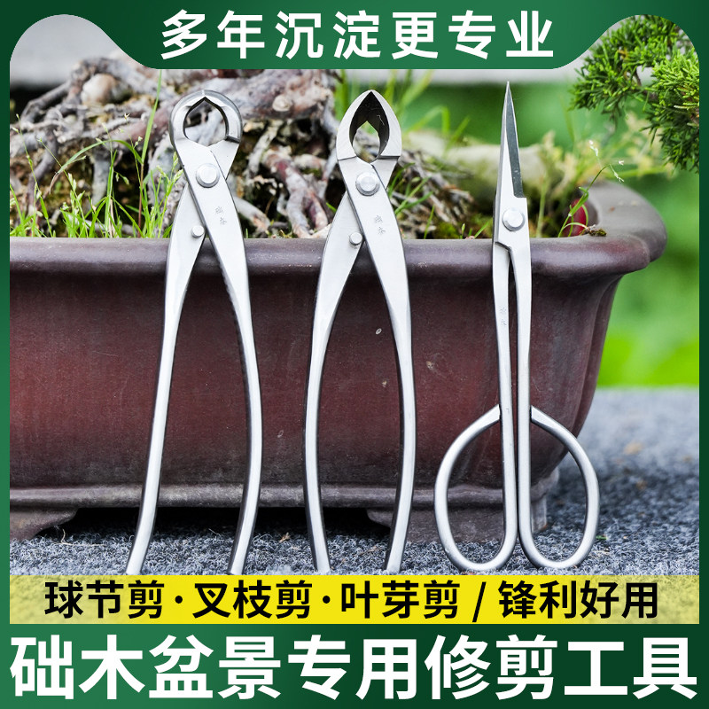 础木球节剪盆景修剪造型专用工具专业制作球形剪刀球型钳枝叶芽剪图片