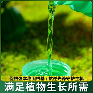 大树生根液枯树再生复活液树木移栽壮苗剂植物通用型营养液激活液