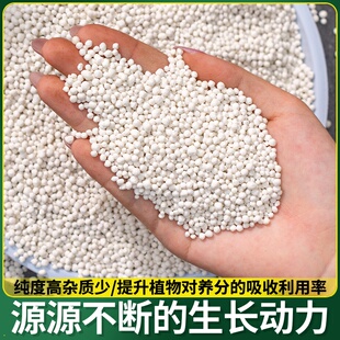 进口有机肥复合肥硫酸钾肥蔬菜化肥花肥料果树营养肥包邮长效型肥