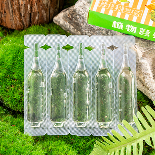 富贵竹专用营养液水培植物生根竹子观音竹转运竹营养液治叶子发黄