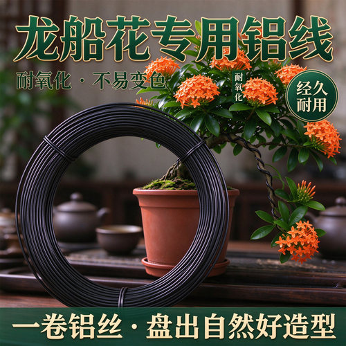 盆景树铝丝包线铝线成品蟠扎成形绿植海岛龙船花线绳定型用塑扎线