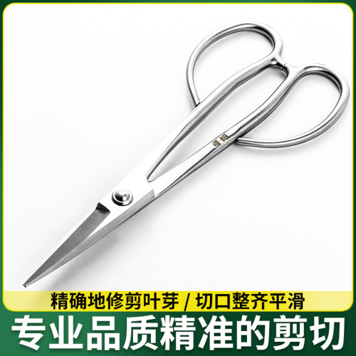 家用叶芽剪刀园艺盆景专用工具盆栽修枝剪花艺剪小枝专业插花剪子