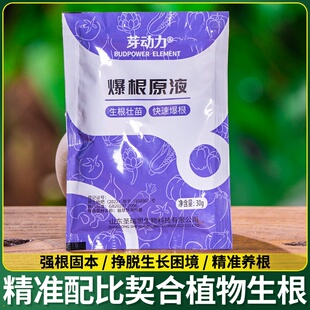 快速生根粉植物通用强力生根剂生根壮苗剂爆生根药水营养液水溶肥