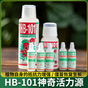 HB101植物活力素生长花卉绿植通用多肉营养液快速扦插生根液强