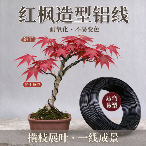 盆景树铝丝包线铝线成品蟠扎成形绿植红枫线绳定型束缚扎丝塑扎线