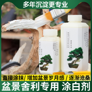 舍利杆涂剂舍利干涂白剂石硫石合剂丝雕舍利工具盆景制作专用用品
