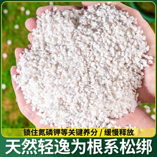 珍珠岩大保温多肉颗粒土至石蛭石扦插营养土养兰花专用园艺土植料