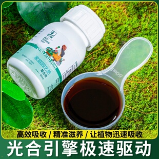 螯合糖醇钙镁硼锌铁叶面肥中微量元素水溶肥料西瓜果树蔬菜冲施肥