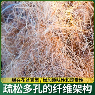 原产环保椰丝天然椰棕丝铺面椰壳丝园艺花店棕榈丝棕树皮鸡窝耐用