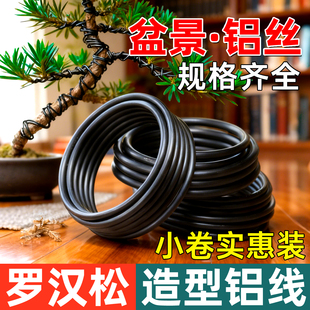 盆景造型专用铝丝园艺铁丝花卉罗汉松铝丝铝线蟠扎定型黑铝条扎丝