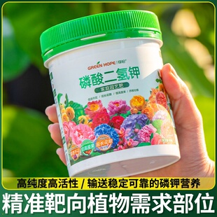 栀子花专用肥料盆栽黄叶硫酸亚铁养料磷酸二氢钾酸性营养液调节土