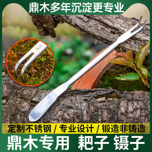 鼎木不锈钢镊子耙子压土刀松柏摘芽盆景修剪造型专用工具苔藓专用