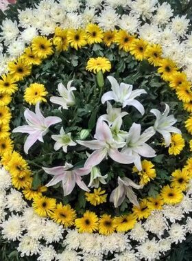 辽阳花店丧事花圈白塔文圣宏伟区殡仪馆悼念菊花鲜花白事花篮殡葬