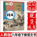 社初2二下册语文书八年级下册语文课本人教八年级下册语文书 课本教材教科书人民教育出版 初中8八年级下册语文书人教部编版 新华正版