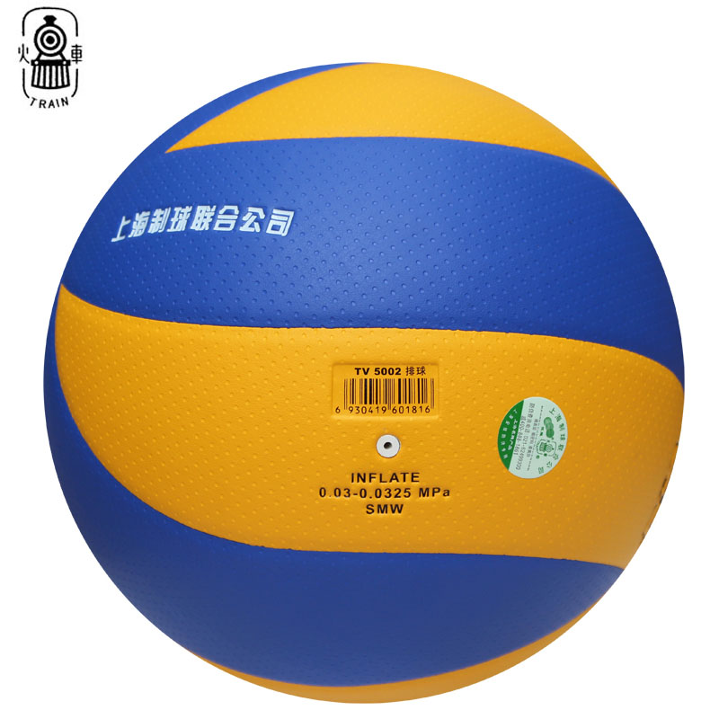 Ballon de volley - Ref 2009863 Image 3