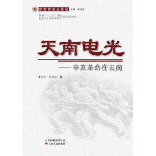 历史 新华仓直发 辛亥在云南 9787222083967 云南人民出版 张黎波著 天南电光 潘先林 历史知识读物 社 现货