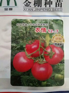 金鹏系列番茄种子粉果西红柿 金棚一号 10号  金鹏荣耀 多喜