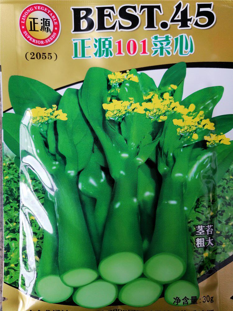 正源菜心101种子 菜芯种籽苔菜绿苔菜芸菜苔抗热春秋冬四季播