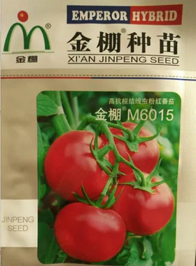金棚番茄种子金棚M6015粉果番茄种子田园种植产量高抗病能力强