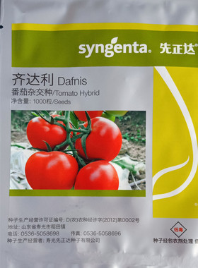 先正达齐达利倍盈番茄西红柿种子大红果型高产抗病种子1000粒