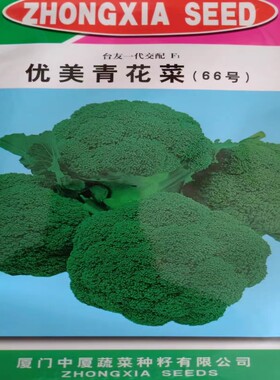 中厦优美66号青花菜种子 西兰花种东美 青花菜10g春秋冬季蔬菜种