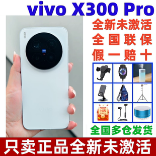Pro蔡司2亿APO超级长焦天玑9500拍照手机 X300 原封未激活 vivo