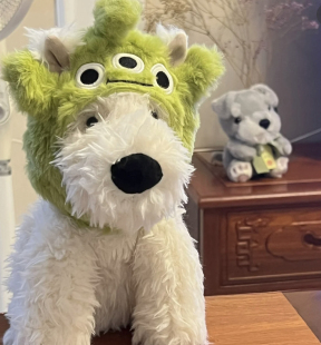 【现货】英国JELLYCAT西高地门罗苏格兰梗狗小狗毛绒安抚玩具公仔