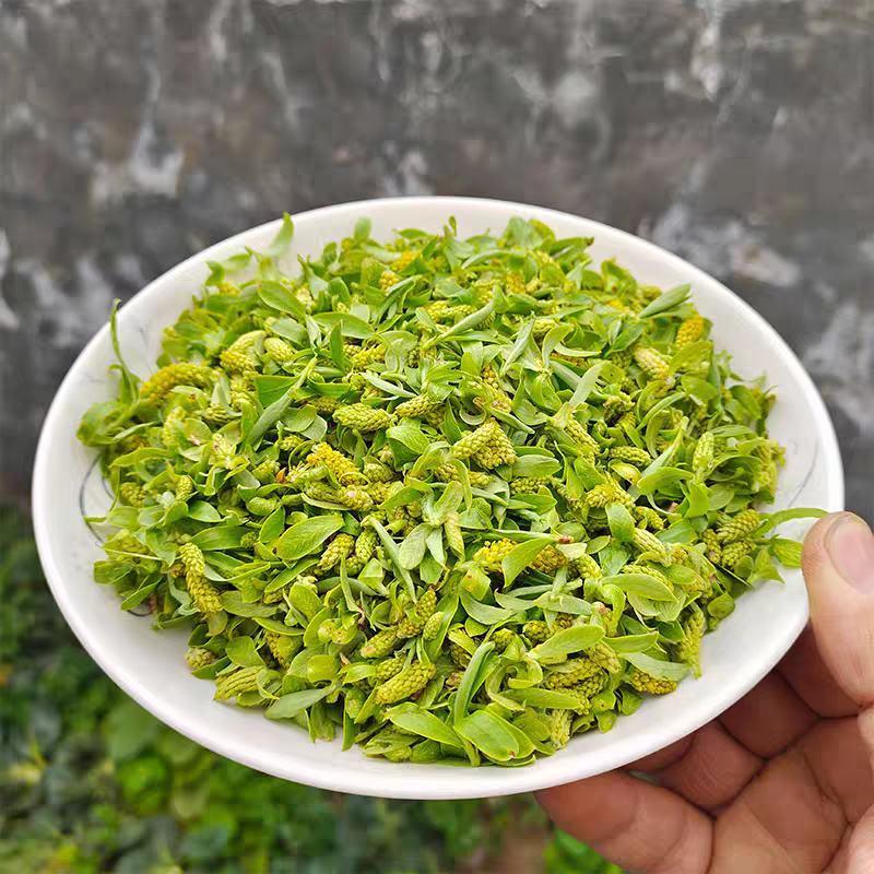 26年柳芽柳絮农家新鲜柳树芽柳芽茶野生柳花嫩柳芽尖野菜现货包邮