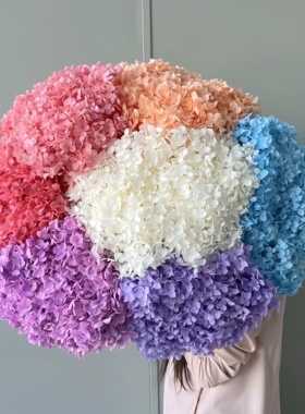 永生花安娜绣球单支干花小叶绣球优质A级花束花艺软装DIY装饰材料