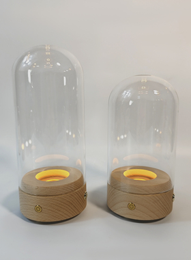 实木发光底座充电蓝牙音箱小夜灯永生花玻璃罩手办积木防尘展示罩