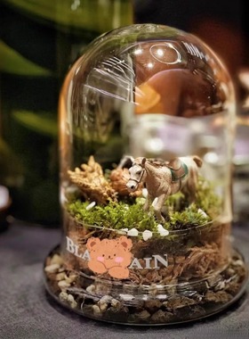 微景玻璃容器玻璃分体瓶带盖苔藓DIY生态瓶永生花瓶透明造景花盆