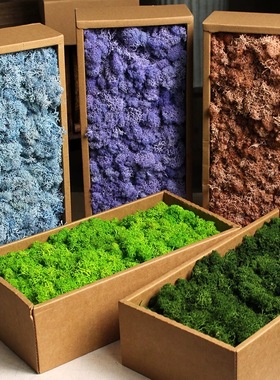 多色永生苔藓500克盒装DIY手工花盒相框苔藓墙微景观造景清新装饰