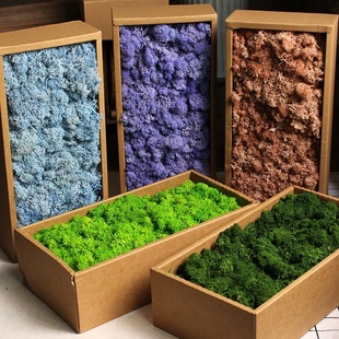 多色永生苔藓500克盒装DIY手工花盒相框苔藓墙微景观造景清新装饰