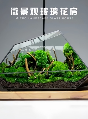 苔藓微景观生态瓶玻璃花房雨林缸桌面造景植物花盆室内奇趣摆件