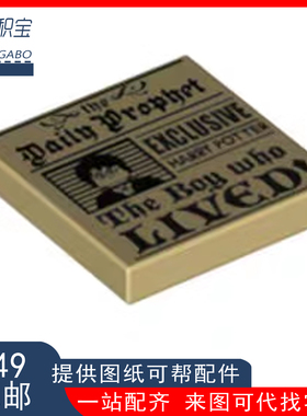 乐高LEGO米色3068bpr0376 6236629 2x2印刷哈利报纸S6