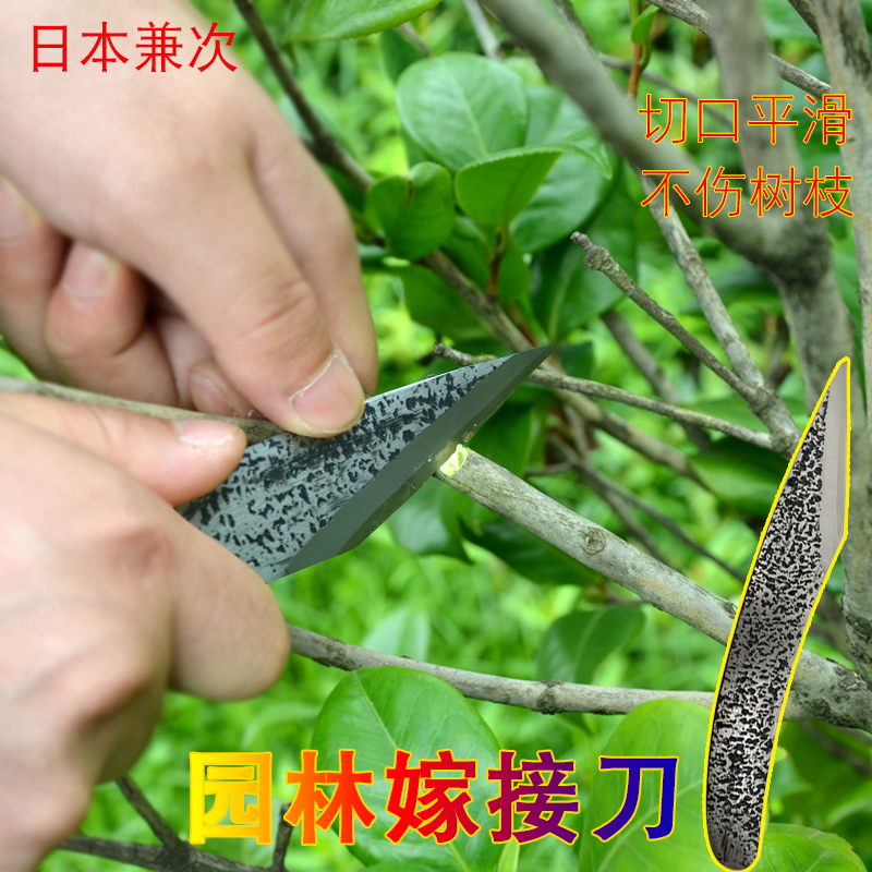 日本进口金星兼次嫁接刀安来钢芽接刀花木果树修枝刀削木刀园艺