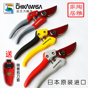 近正大嘴鸟chikamasa日本修枝盆栽粗枝剪减震护手花艺剪 陶雅家居