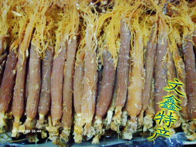 识货你就来东北50克煲汤人参红参