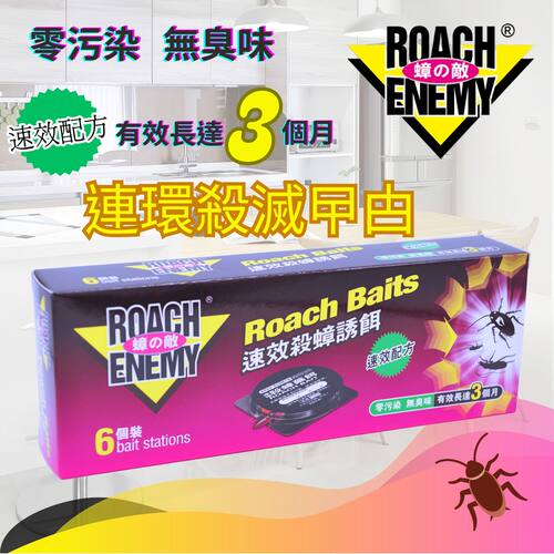 ROACH ENEMY香港品牌速效杀蟑诱饵6个装家用厨房无毒蟑螂商用进口