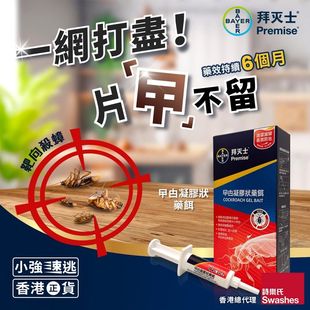 BAYER德国拜灭士曱甴凝胶状药饵香港正品