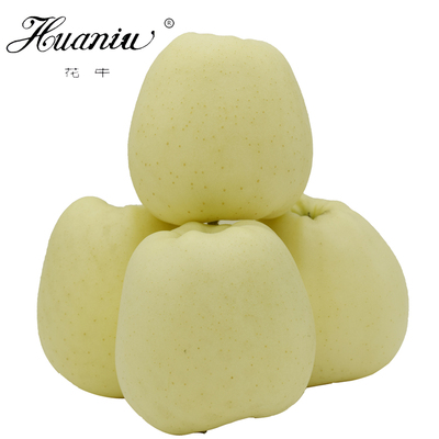 天水苹果黄元帅酸甜脆爽口