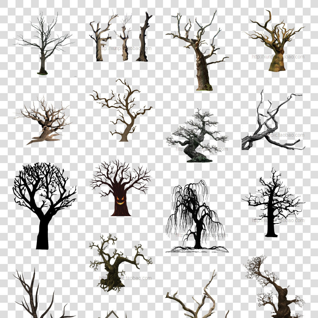 枯树大树png免抠图片万圣节的树 免扣素材 枯枝 大树 剪影 树干
