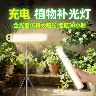 植物补光灯充电款全光谱无线室内多肉绿植生长养花专用仿太阳光灯