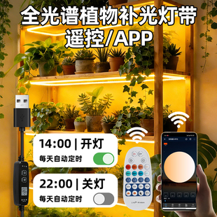 全光谱植物补光灯带仿太阳光室内绿植多肉专用usb定时led生长灯条