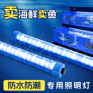 led灯管鱼缸专用防水220饭店鱼池海鲜蓝白光水产水族养鱼照明灯条