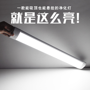 蓝鲨 led日光灯管t5t8长条一体化节能棍棒净化灯支架全套双排灯管