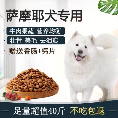 萨姆耶犬价格 萨姆耶犬图片 星期三