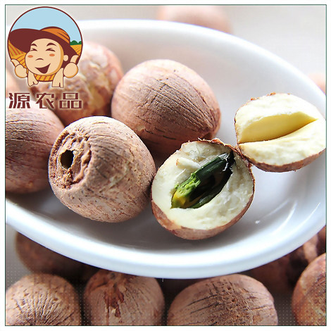 湖南湘潭特产湘莲带心红皮莲子500g红莲带芯干货非东平湖广昌白莲